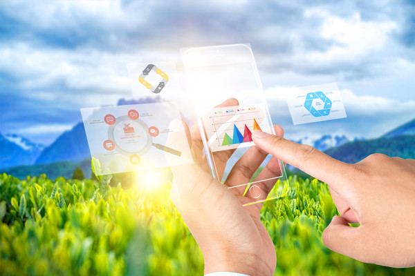 供應(yīng)鏈管理：打造高效、靈活與可持續(xù)的供應(yīng)鏈網(wǎng)絡(luò)