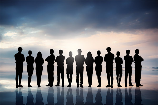 優(yōu)化組織結(jié)構(gòu)，提升協(xié)作效能，助推組織發(fā)展新高度