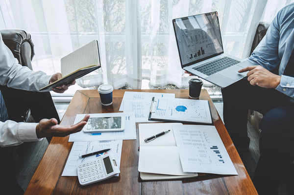 立足戰(zhàn)略大局，提供專業(yè)咨詢，助力企業(yè)騰飛