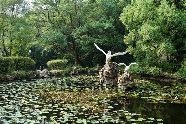 如何挑選適合株洲企業的專業管理咨詢公司？