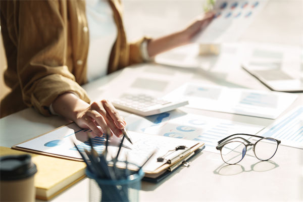 在預算執行中，如何確保監控與調整機制的有效性？