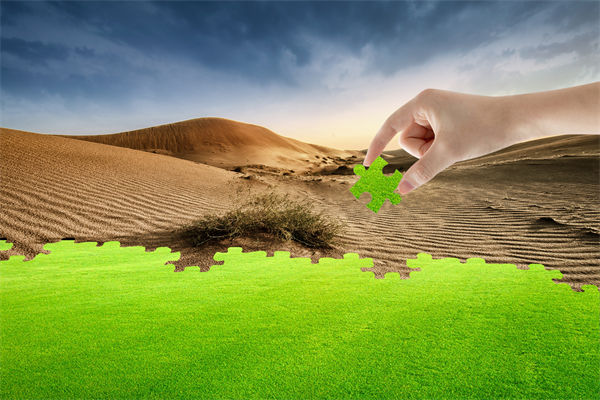 企業(yè)深陷困境，管理咨詢?nèi)绾我岳做侄未蚱瓢l(fā)展僵局？