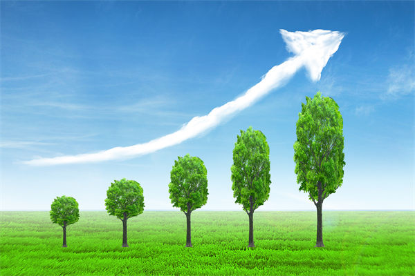 植樹就是植未來，對企業(yè)的戰(zhàn)略規(guī)劃有哪些啟示？