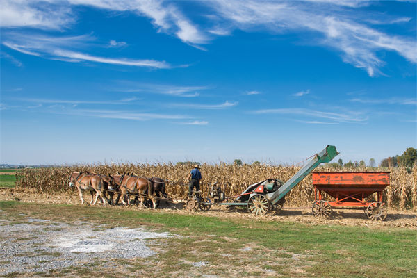 從績(jī)效管理角度分析：中國(guó)買(mǎi)巴西大豆讓美國(guó)農(nóng)民慌了