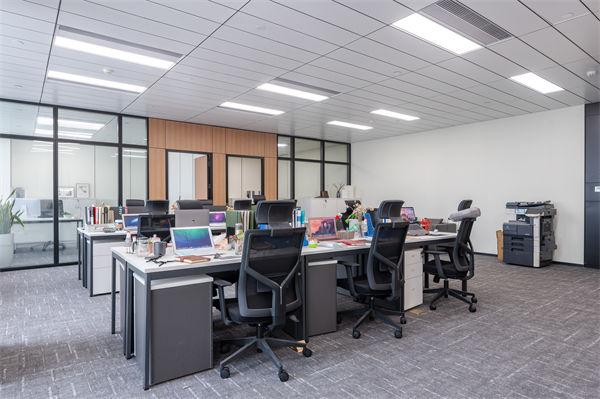 新員工入職三月變老油條，文化如何阻止組織熵增？