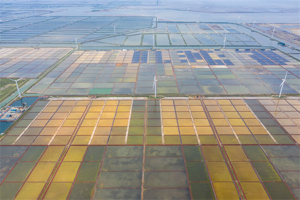 濰坊集團子公司失控內耗嚴重，濰坊集團管控咨詢公司如何重構權責體系？