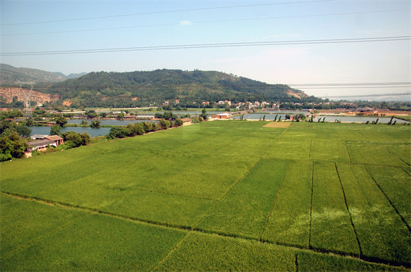 清遠人力資源咨詢公司量體裁衣，如何激活企業人才發展新動能？