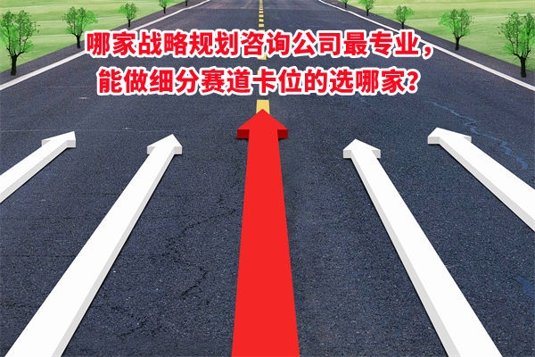 哪家戰(zhàn)略規(guī)劃咨詢公司最專業(yè)，能做細(xì)分賽道卡位的選哪家？