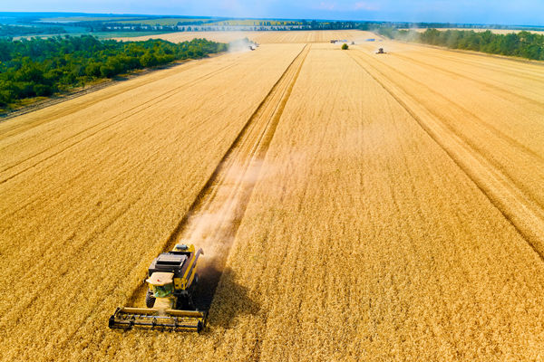 農業行業供應鏈管理咨詢公司推薦，能解農資采購成本高問題嗎？
